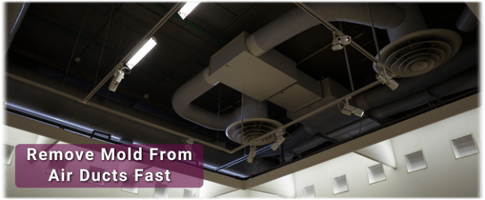 Air Duct Mold Removal in Oswego IL