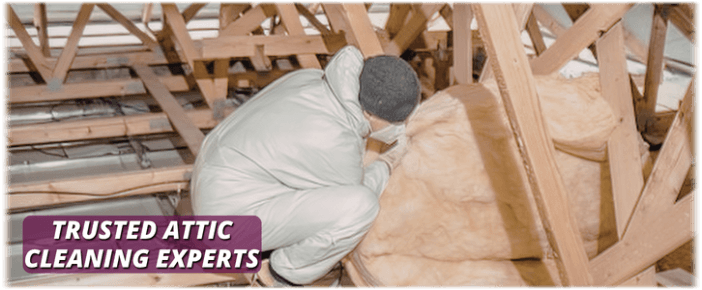 Attic Cleaning Oswego IL